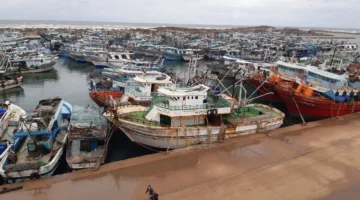 سوء الطقس.. توقف مستمر للصيد والملاحة بكفر الشيخ